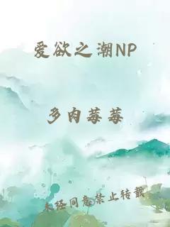 爱欲之潮np