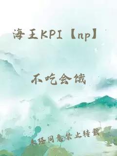 海王kpi【np】